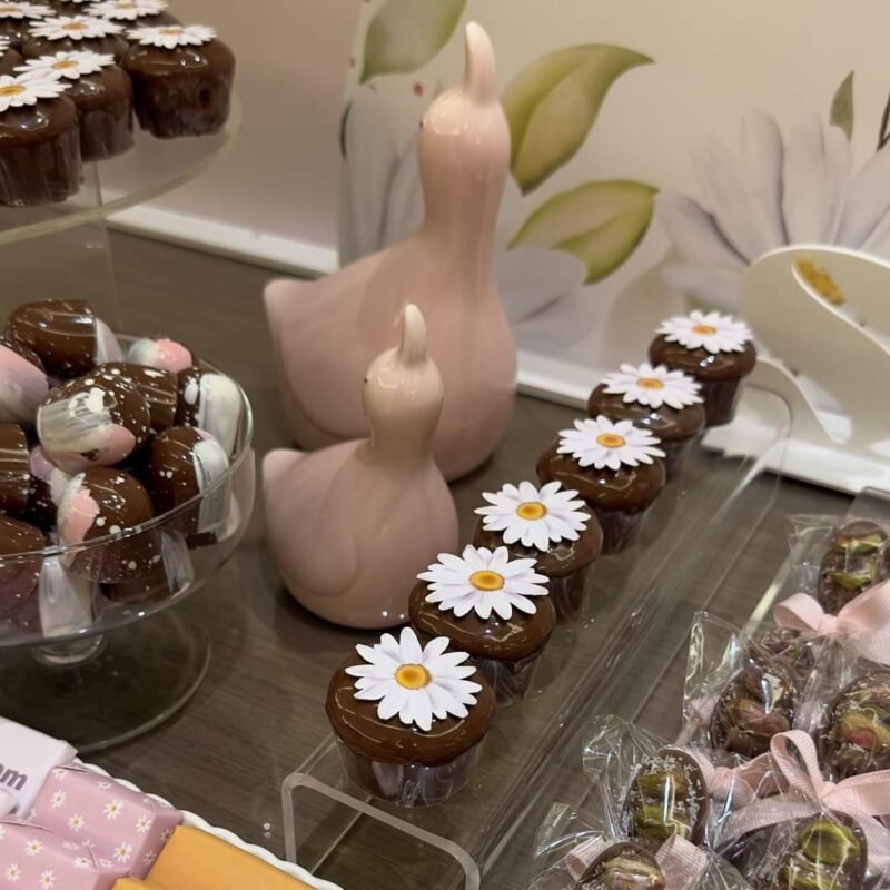 Krokina Chocolate