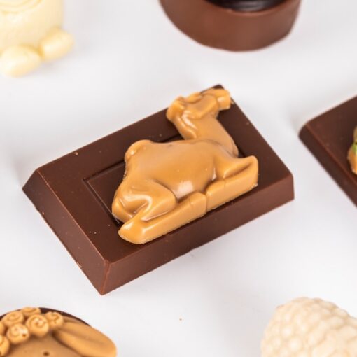 Chocolate Cream and Crunch - Adha Collection