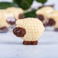 Lotus Sheep Chocolate - Adha Collection
