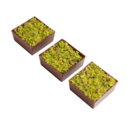 Qashtalieh (100g) - Ramadan 2026