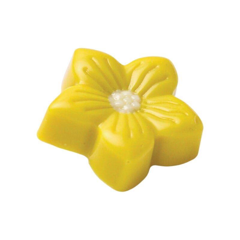 Krokina Chocolate