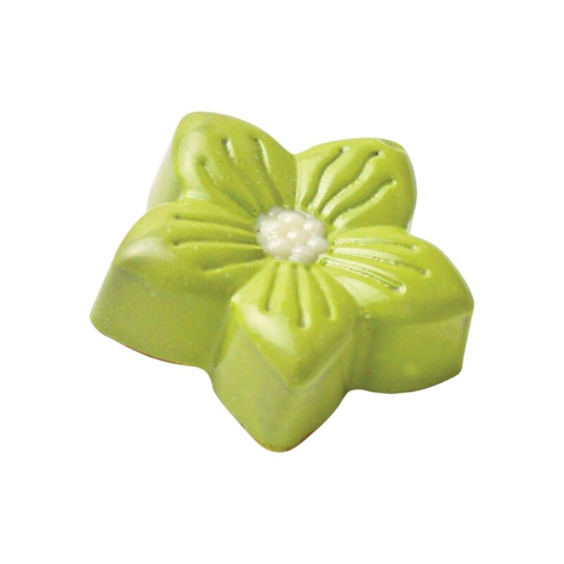 Krokina Chocolate